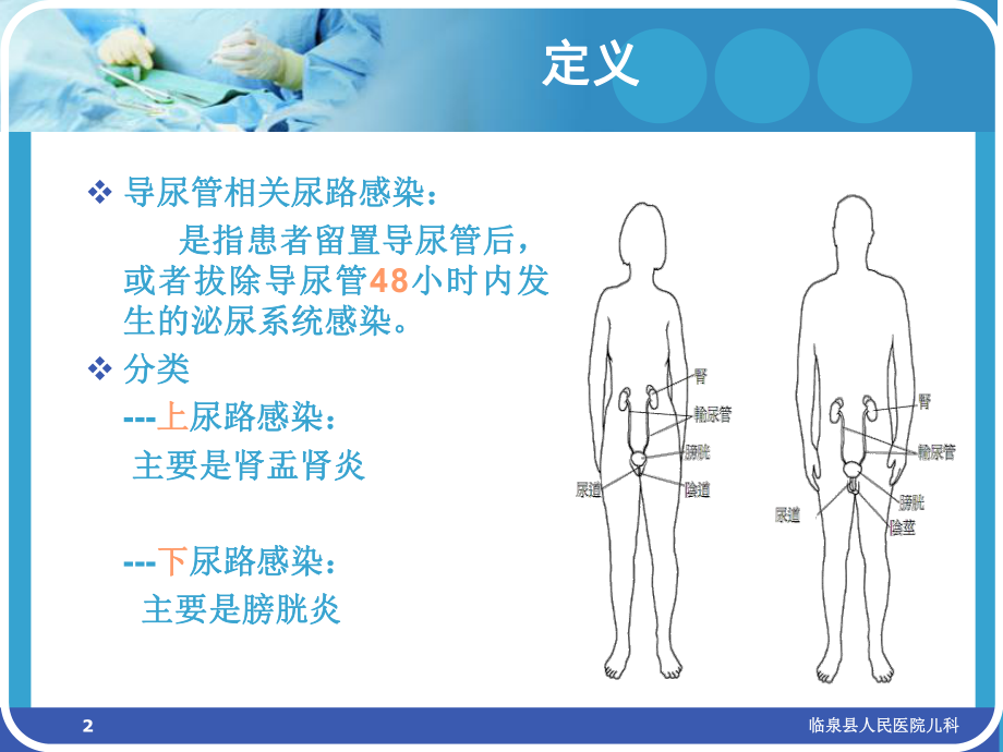 导尿管相关尿路感染预防与控制ppt课件.ppt_第2页