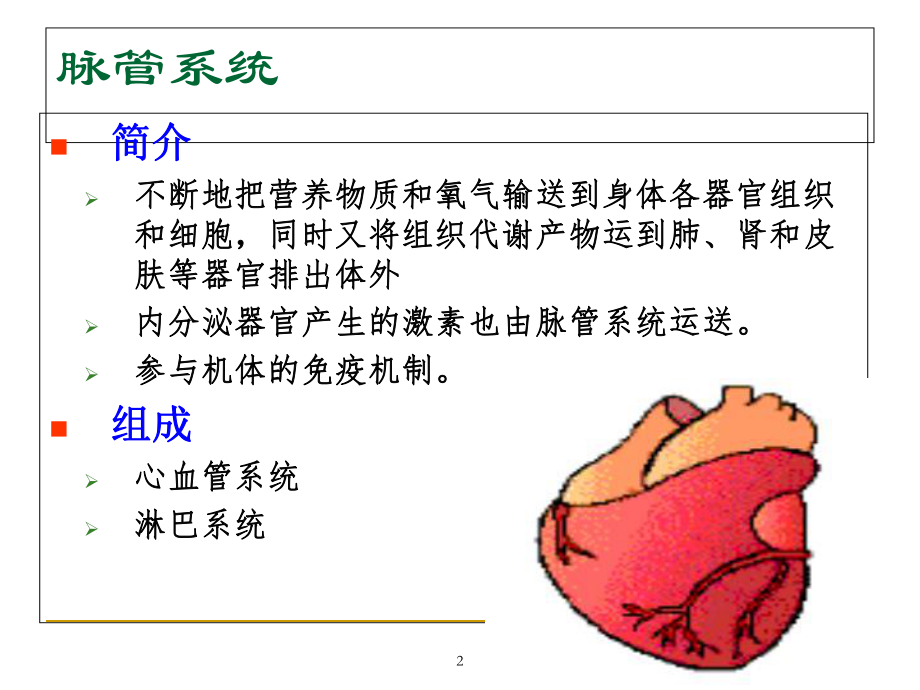 ZSCI心血管解剖生理.ppt_第2页