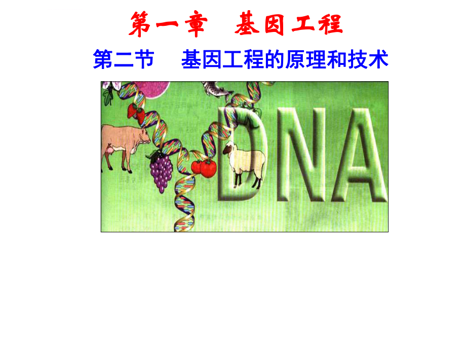 基因工程的基本操作步骤ppt课件.ppt_第1页