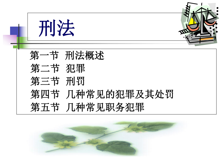 《刑法》完整课件.ppt_第2页