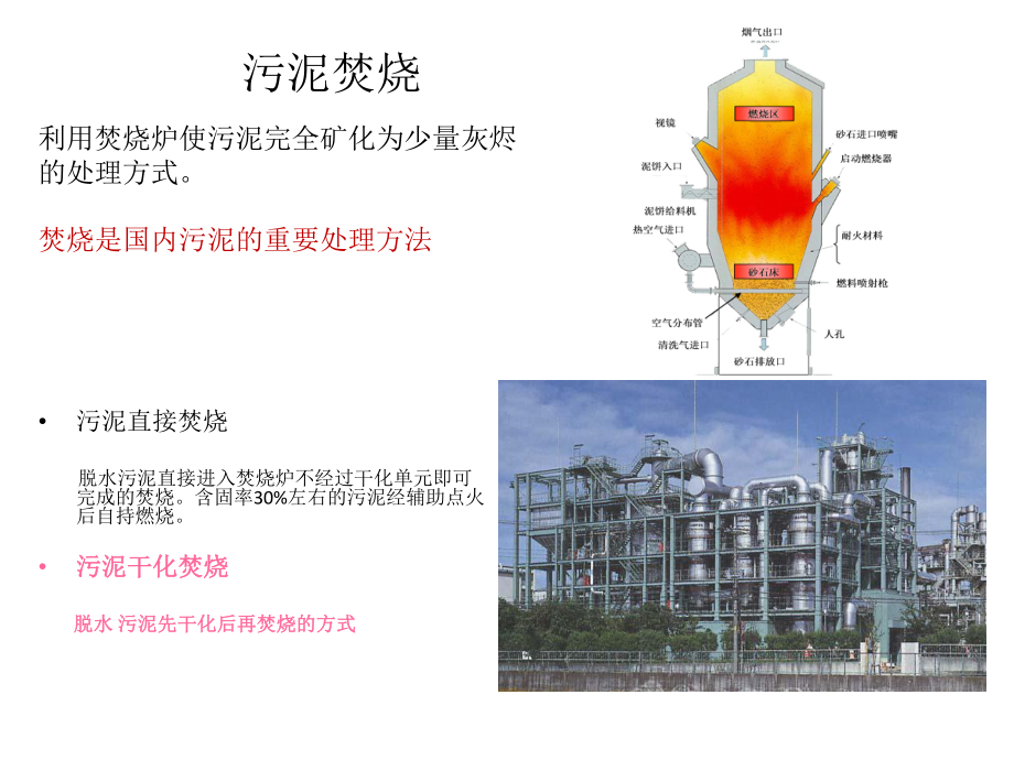 最新城市污水厂湿污泥循环流化床一体化焚烧技术研究与示范精品课件.ppt_第2页