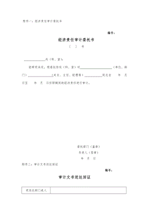 任期经济责任审计工作底稿.docx