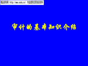 审计的基本知识简要介绍.pptx