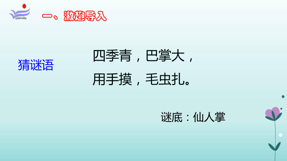 《仙人掌》教学课件.ppt_第2页