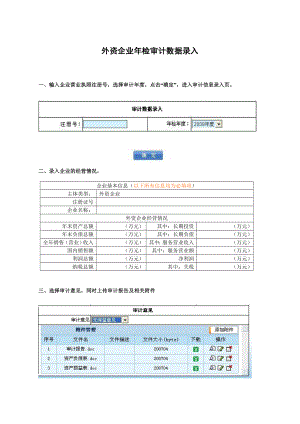 外资企业年检审计数据录入.docx