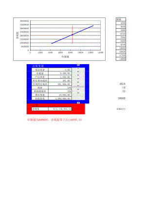 19投资净现值预测分析.xls