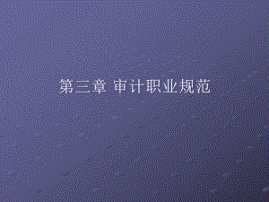 审计职业规范.pptx