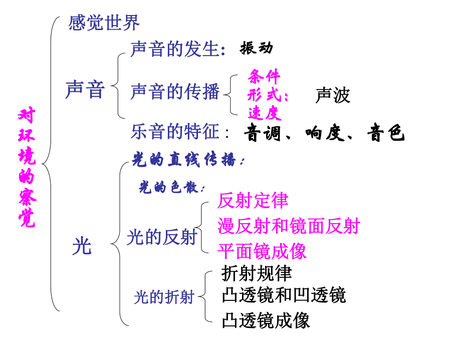 《对环境的察觉》复习课件资料.ppt_第2页