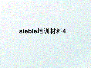 sieble培训材料4.ppt