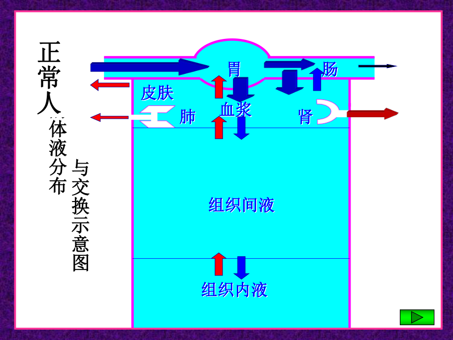 最新外科病人的体液失衡精品课件.ppt_第2页