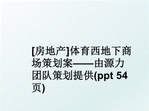 [房地产]体育西地下商场策划案——由源力团队策划提供(ppt 54页).ppt