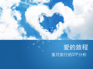 蜜月旅行stp分析ppt课件.ppt