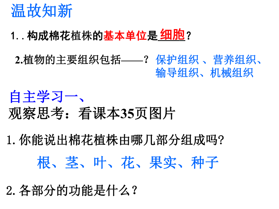 最新多细胞生物体结构层次课件用ppt课件.ppt_第2页