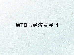 WTO与经济发展11.ppt