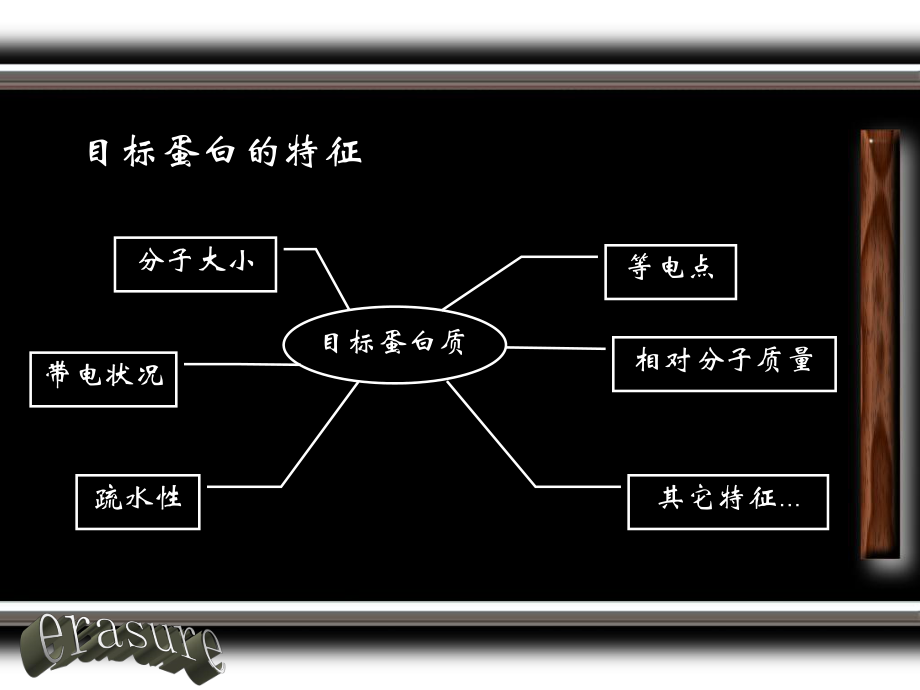 最新多维色谱分析在蛋白质检测中的应用教学课件.ppt_第2页