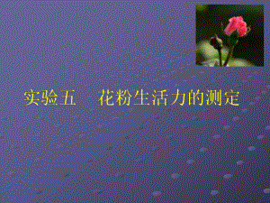 花粉生活力测定ppt课件.ppt