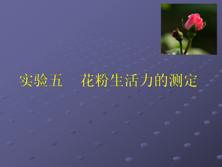 花粉生活力测定ppt课件.ppt_第1页