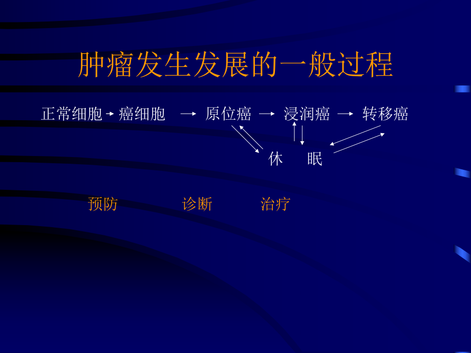 试验肿瘤学基本概念ppt课件.ppt_第2页