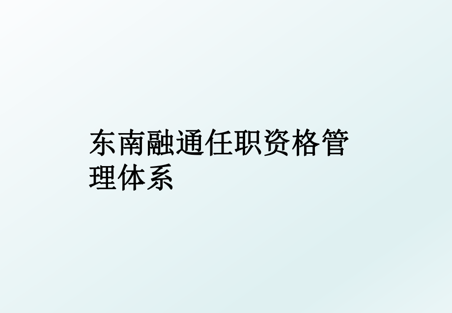 东南融通任职资格体系.ppt_第1页