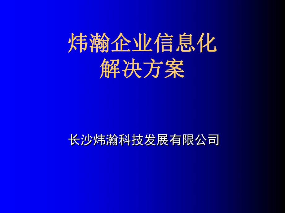 XX企业信息化解决方案.ppt_第2页