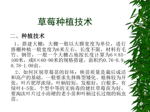 草莓种植技术ppt课件.ppt