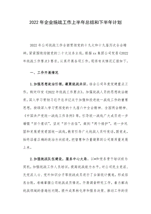 2022年企业统战工作上半年总结和下半年计划.docx