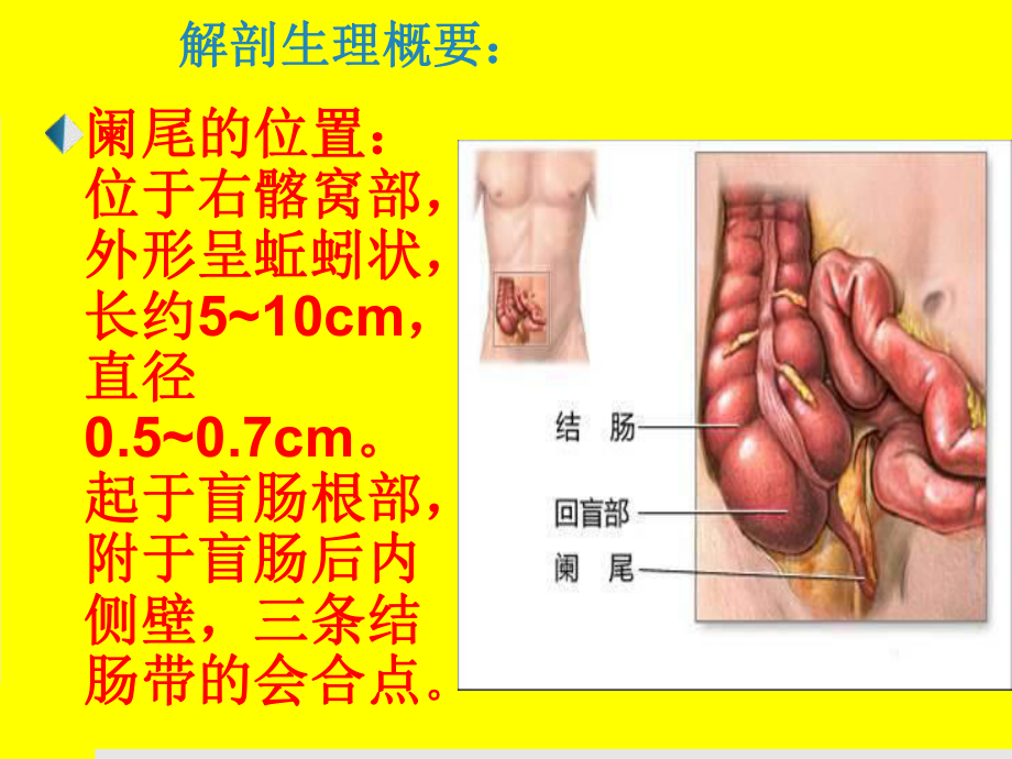 最新外科学教学资料 36急性阑尾炎ppt课件.ppt_第2页