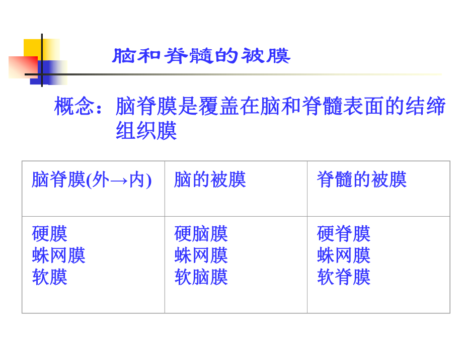 脑和脊髓的血管、被膜、脑脊液循环(人体解剖学)ppt课件.ppt_第2页