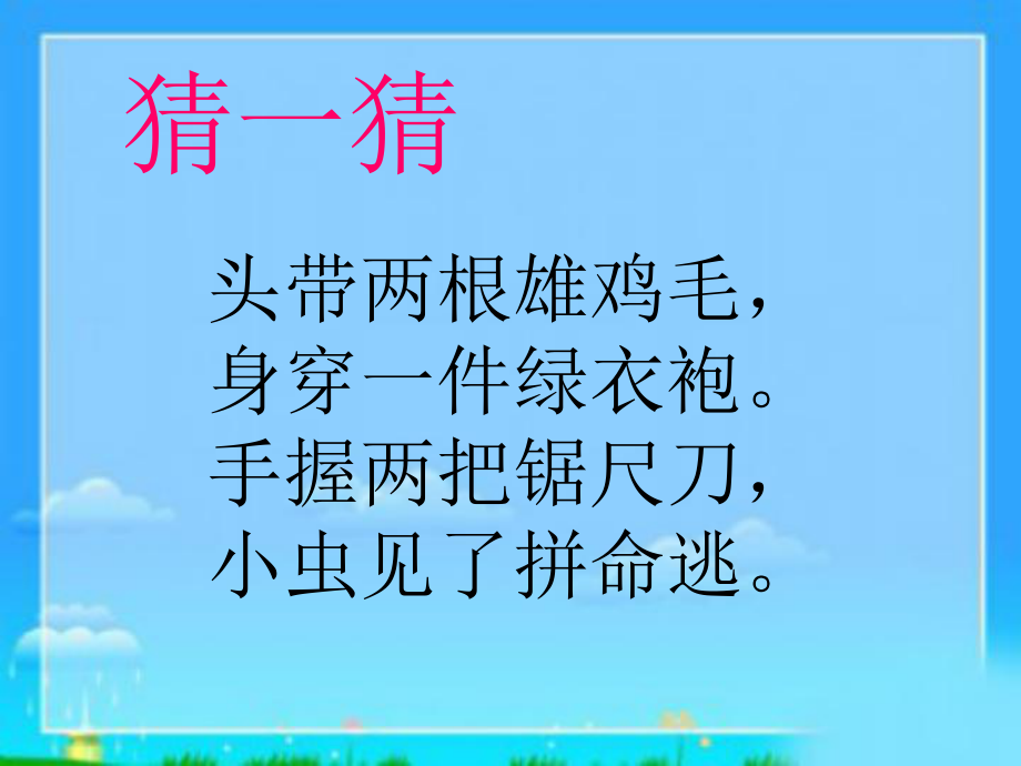 《昆虫记》课件.ppt_第2页