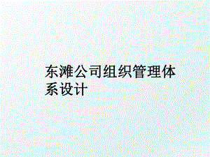 东滩公司组织体系设计.ppt