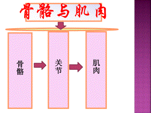 苏教版四年级下册科学《第一单元复习》课件ppt.ppt