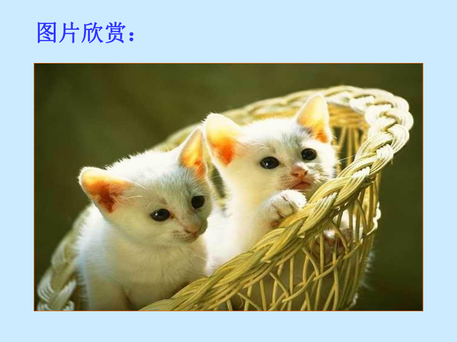 《猫》郑振铎-优秀课件.ppt_第2页