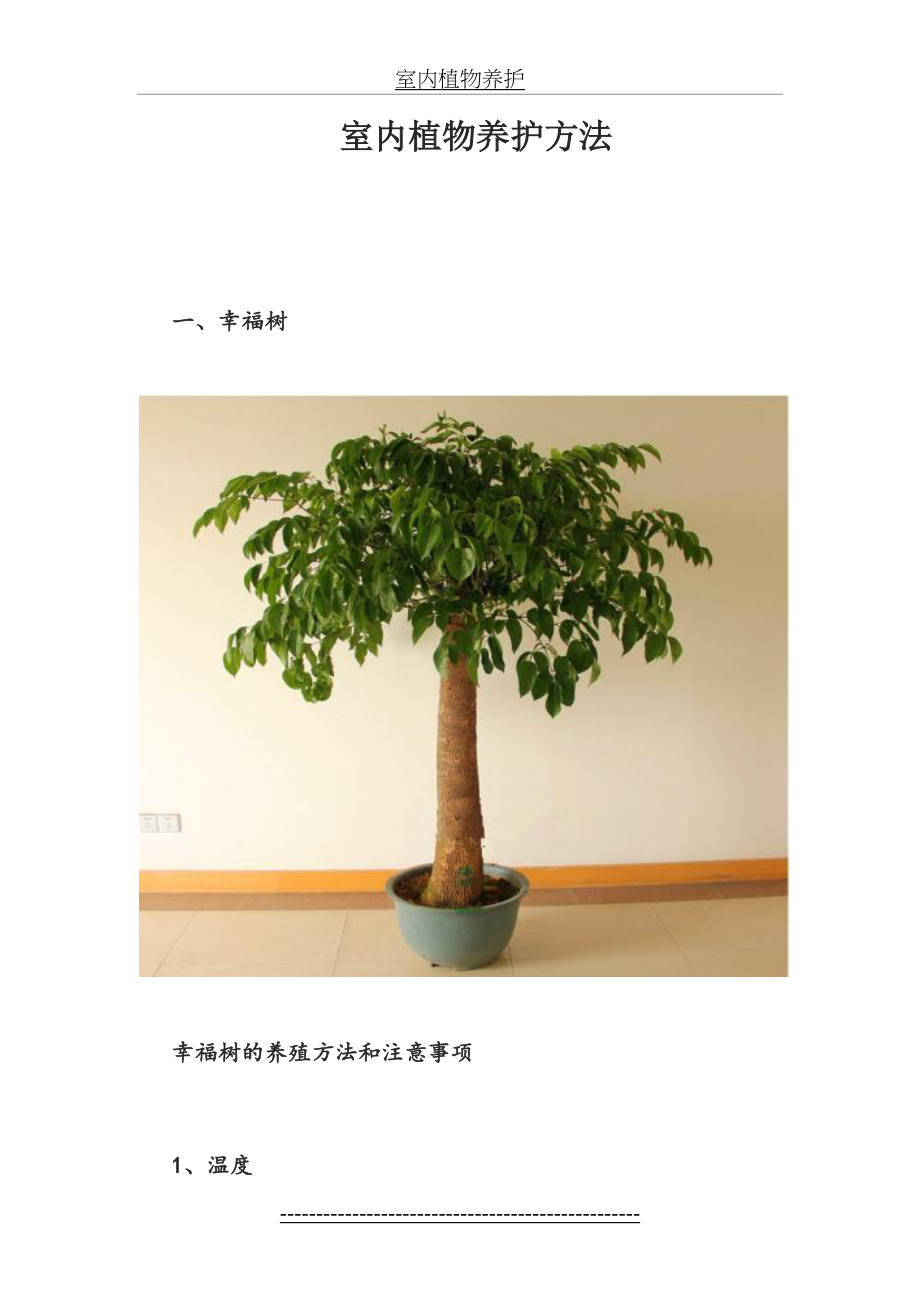 室内植物养护.doc_第2页