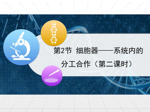 细胞器——系统内的分工合作课件--高一上学期生物人教版必修1.pptx