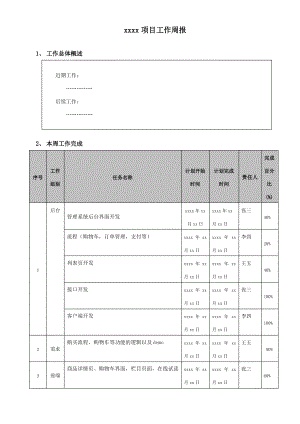 项目工作周报模板.pdf