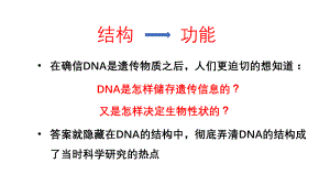 DNA的结构课件--高一下学期生物人教版必修2.pptx