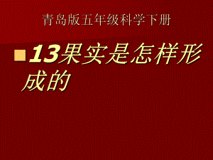 青岛版五年级科学下册13果实是怎样形成的最新课件ppt.ppt