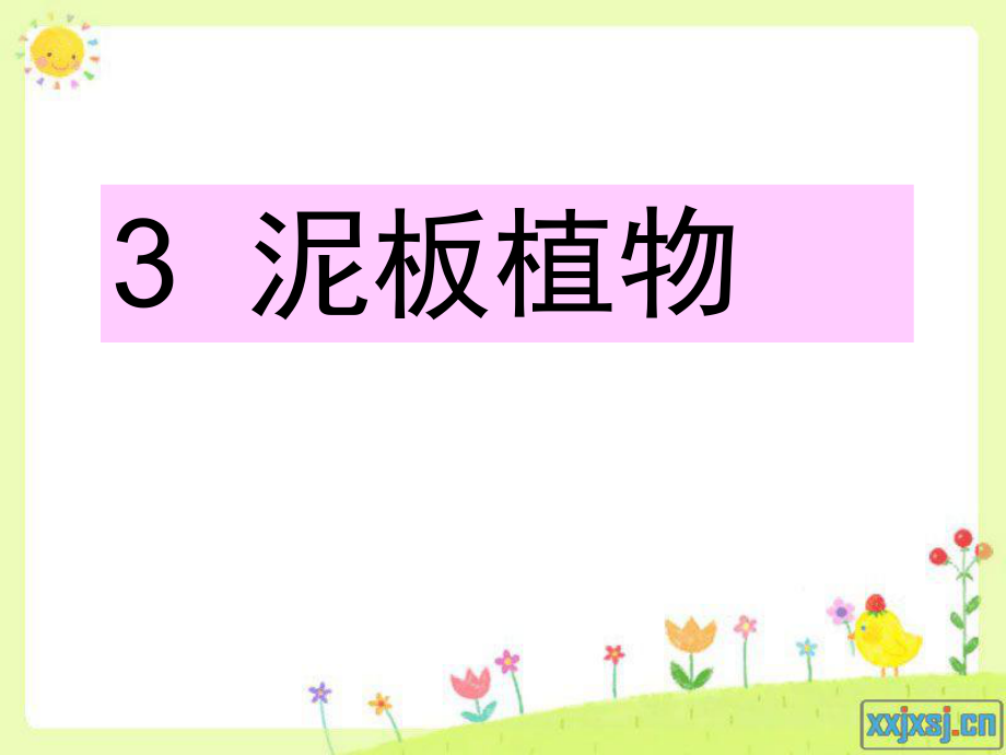 泥板植物浮雕(yanmi).ppt_第1页