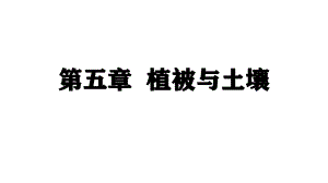 第五单元植被与土壤复习课件--人教版（2019）高中地理必修一.pptx