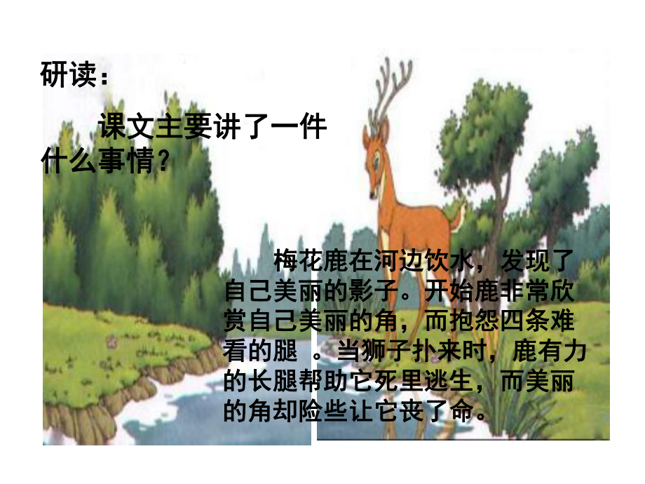 《爱美的梅花鹿》(课件).ppt_第2页