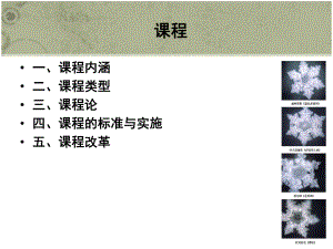 教育学原理-第七章-课程ppt课件.ppt