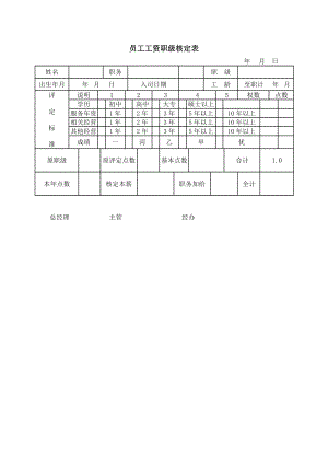 6G管控绩效考核系统薪酬福利员工福利 员工工资职级核定表.DOC