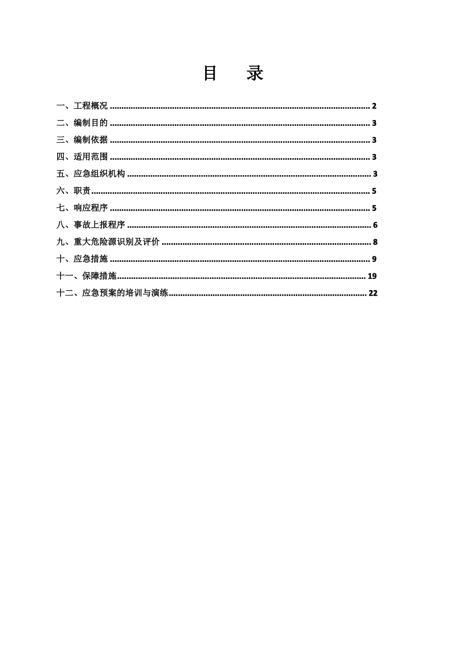 项目专项应急预案.pdf_第2页