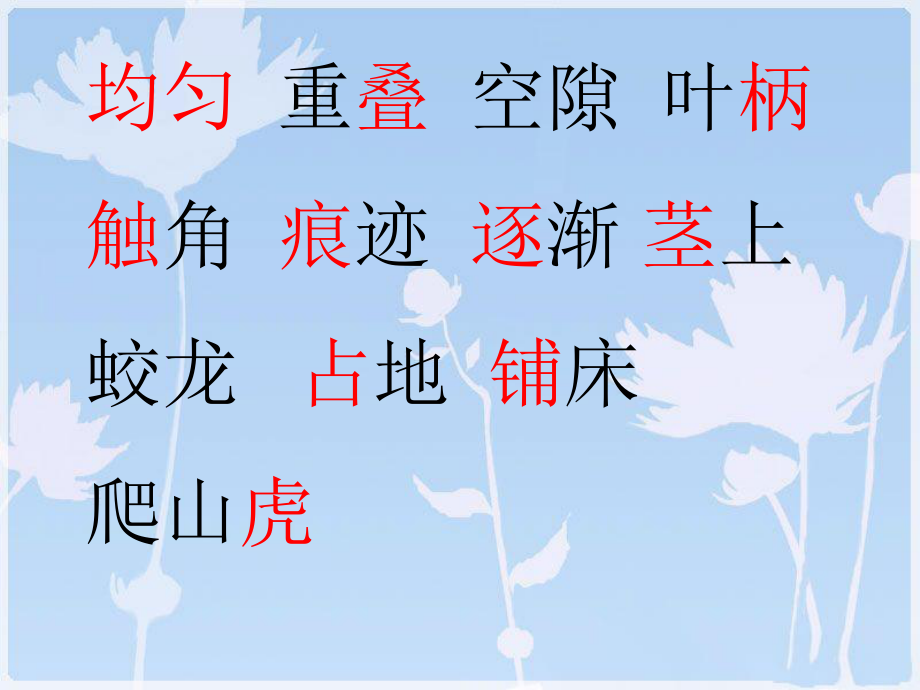 《爬山虎的脚》ppt课件.ppt_第2页