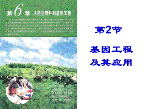 6.2基因工程及其应用课件--高一下学期生物人教版必修2.pptx