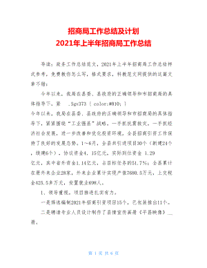 招商局工作总结及计划 2021年上半年招商局工作总结.doc