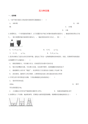 2021年中考物理必考点专项训练压力和压强含解析.doc