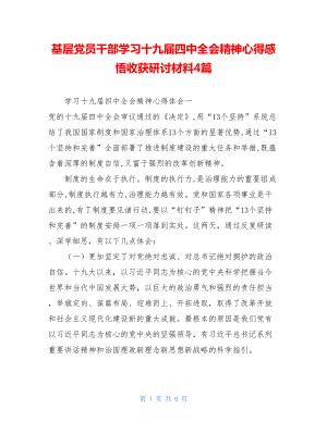 基层党员干部学习十九届四中全会精神心得感悟收获研讨材料4篇 .doc