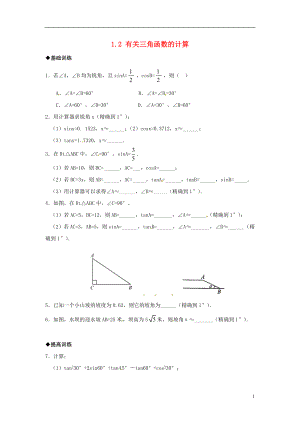 2021年春九年级数学下册 1.2 锐角三角函数的计算课时训练 （新版）浙教版.doc