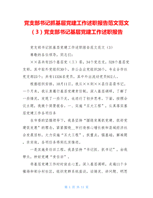 党支部书记抓基层党建工作述职报告范文范文（3）党支部书记基层党建工作述职报告.doc